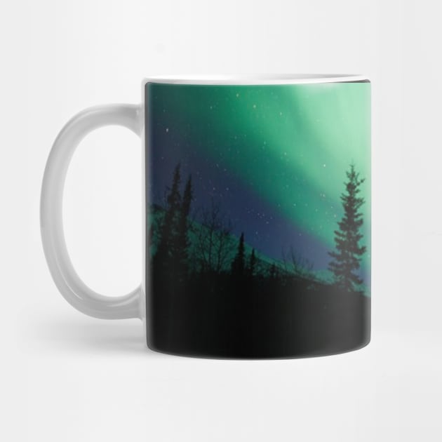 Alaskan Northern Lights by ACGraphics